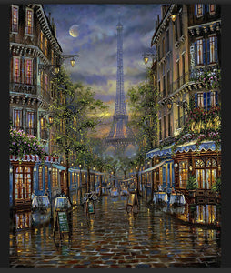 Paris Street View Canvas