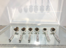 Load image into Gallery viewer, 6 Pieces Tea Spoon Set(Silver)
