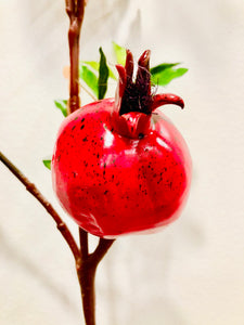 Beautiful Pomegranates (R)